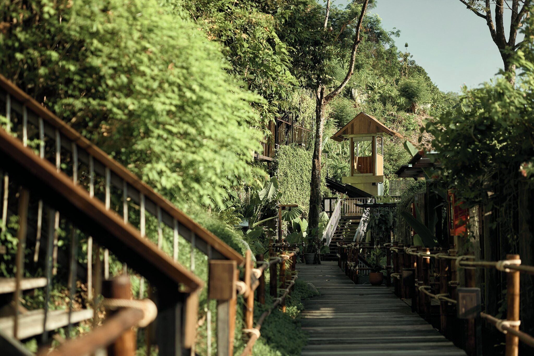 A wooden staircase leading to a wooden viewing platform surrounded by lush greenery.