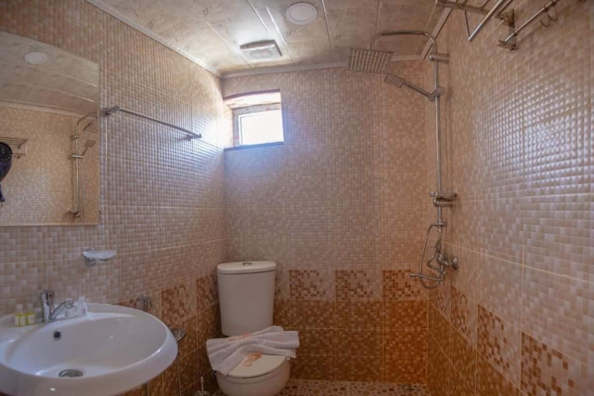 Shower, towels