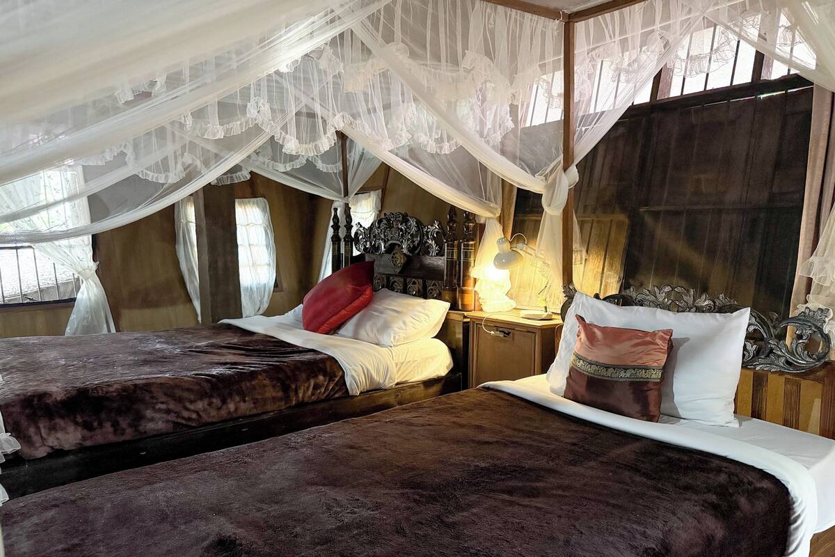 Deluxe Twin Room | Desk, rollaway beds (surcharge), WiFi (free), bed sheets
