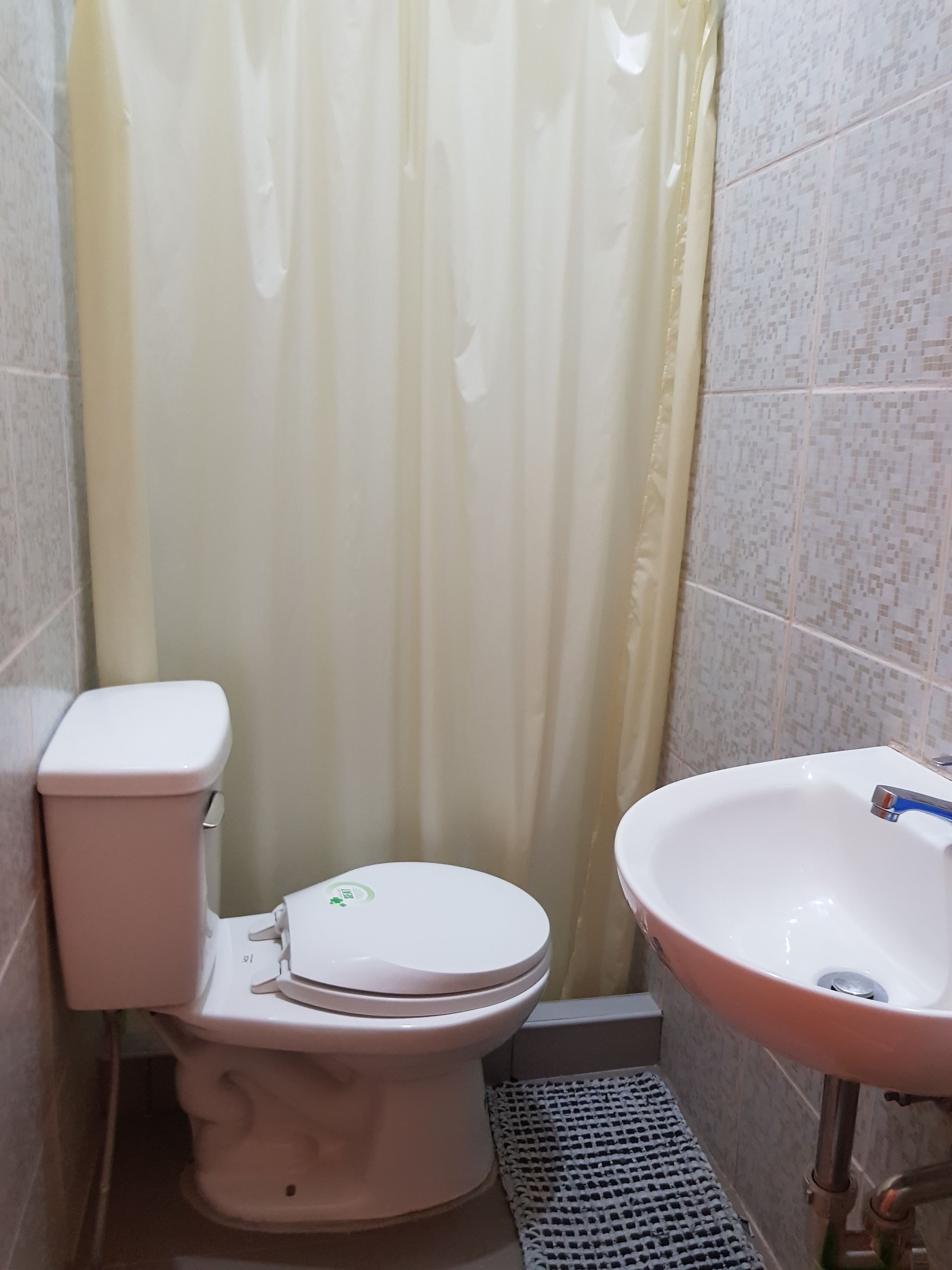 Un baño con inodoro, lavabo y cortina de ducha.
