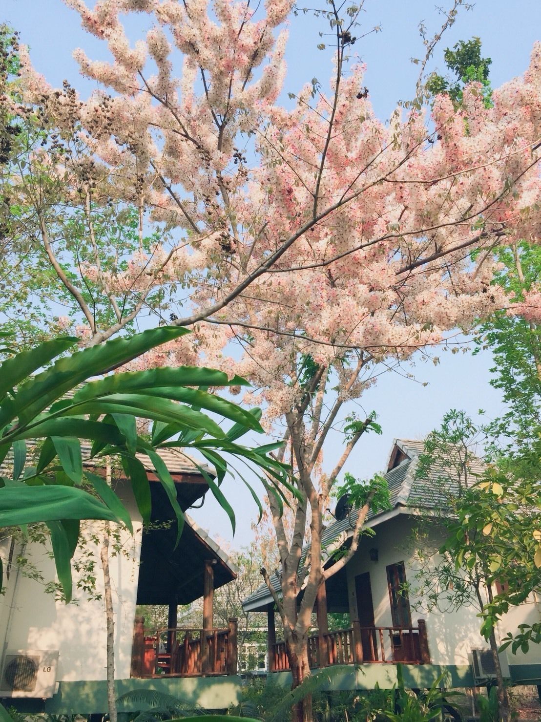Un edificio tradicional con techo de tejas, rodeado de vegetación exuberante y árboles en flor.