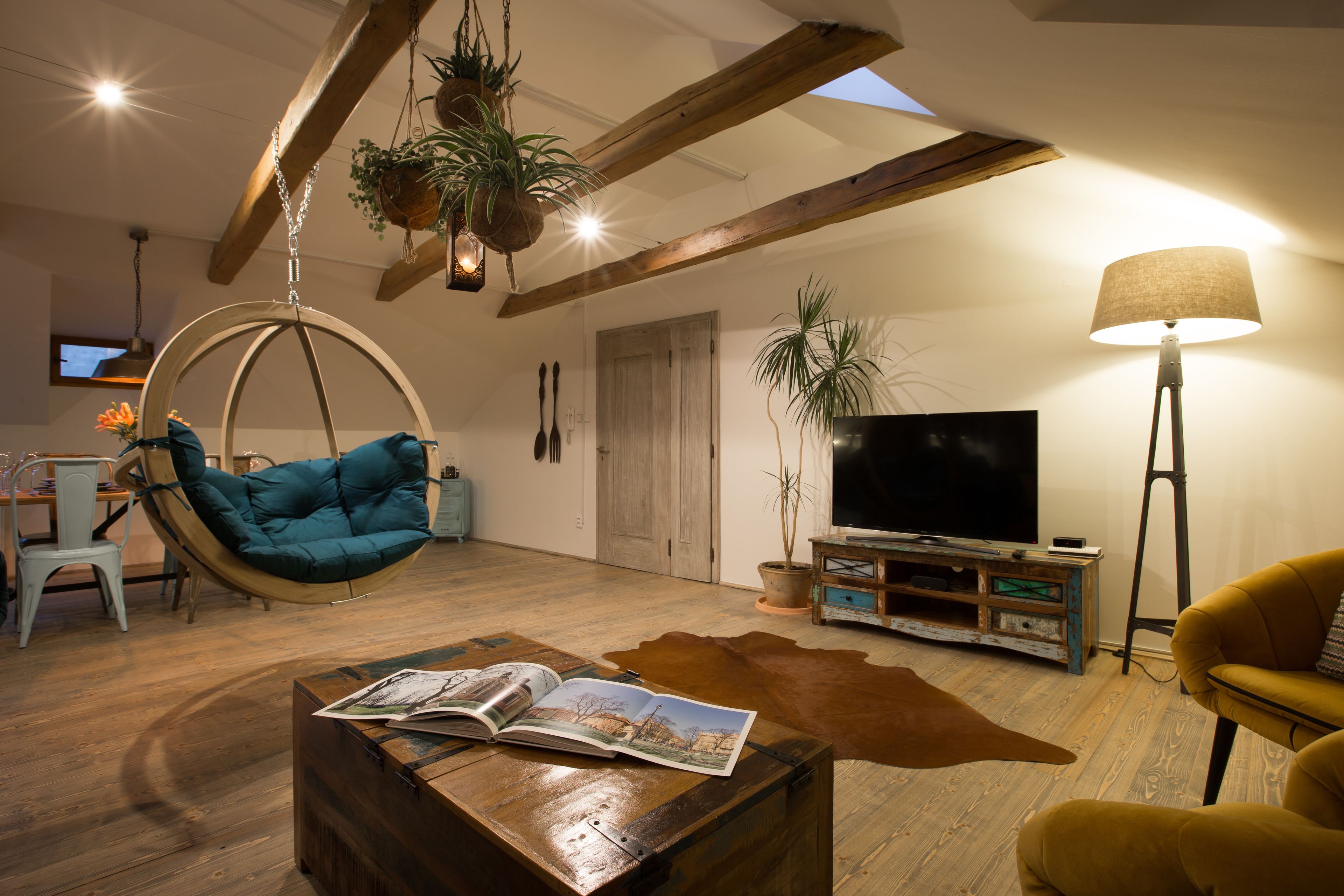 A living room with a hanging chair, a wooden coffee table with a magazine, a television, and a lamp.