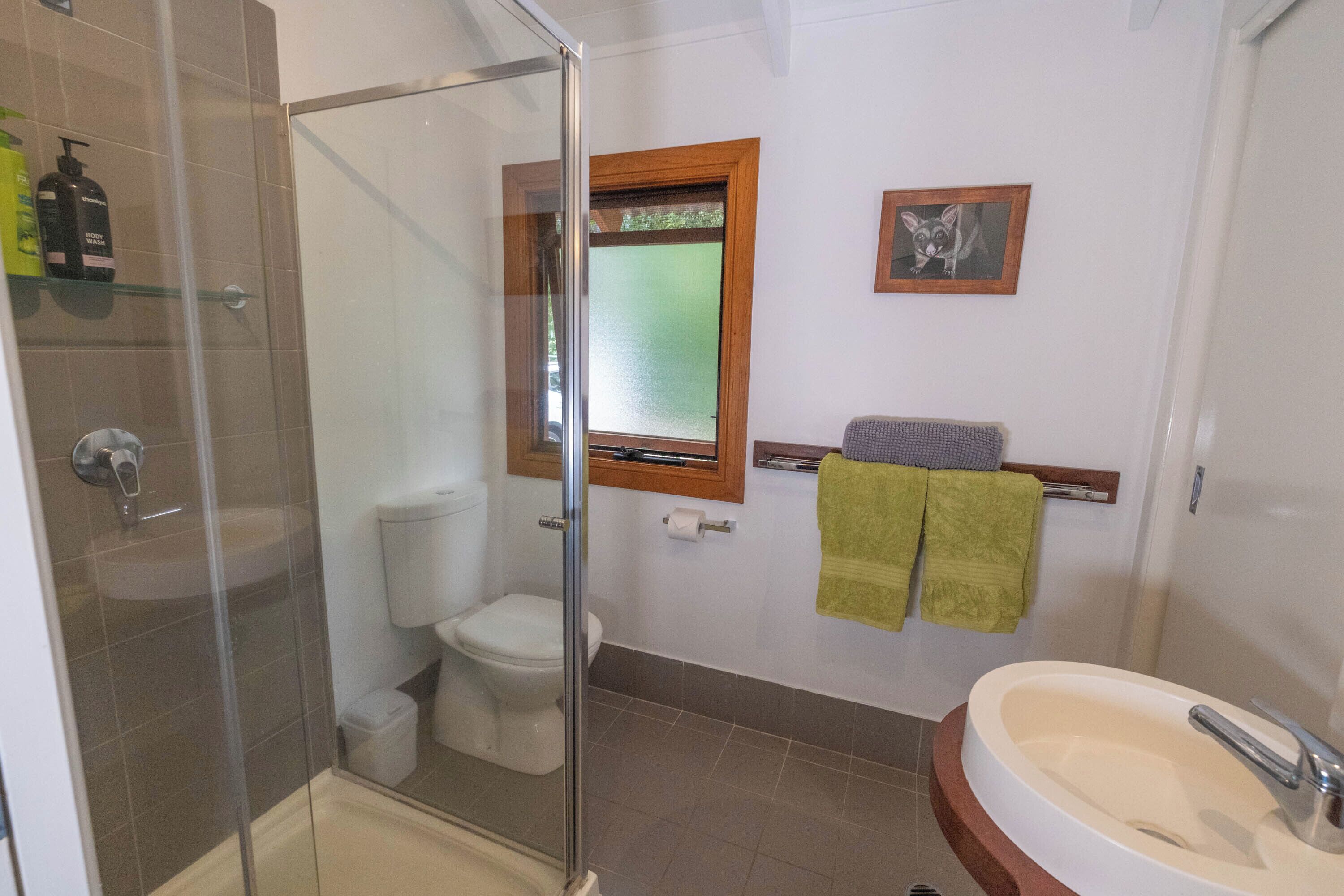A bathroom with a glass shower enclosure, a toilet, a sink, and a window with a wooden frame.
