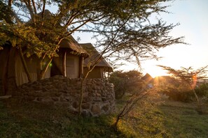 Room - Amani Mara Camp (Maasai Mara)