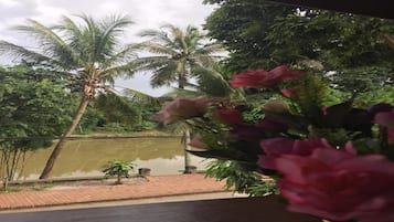 Uitzicht vanuit accommodatie