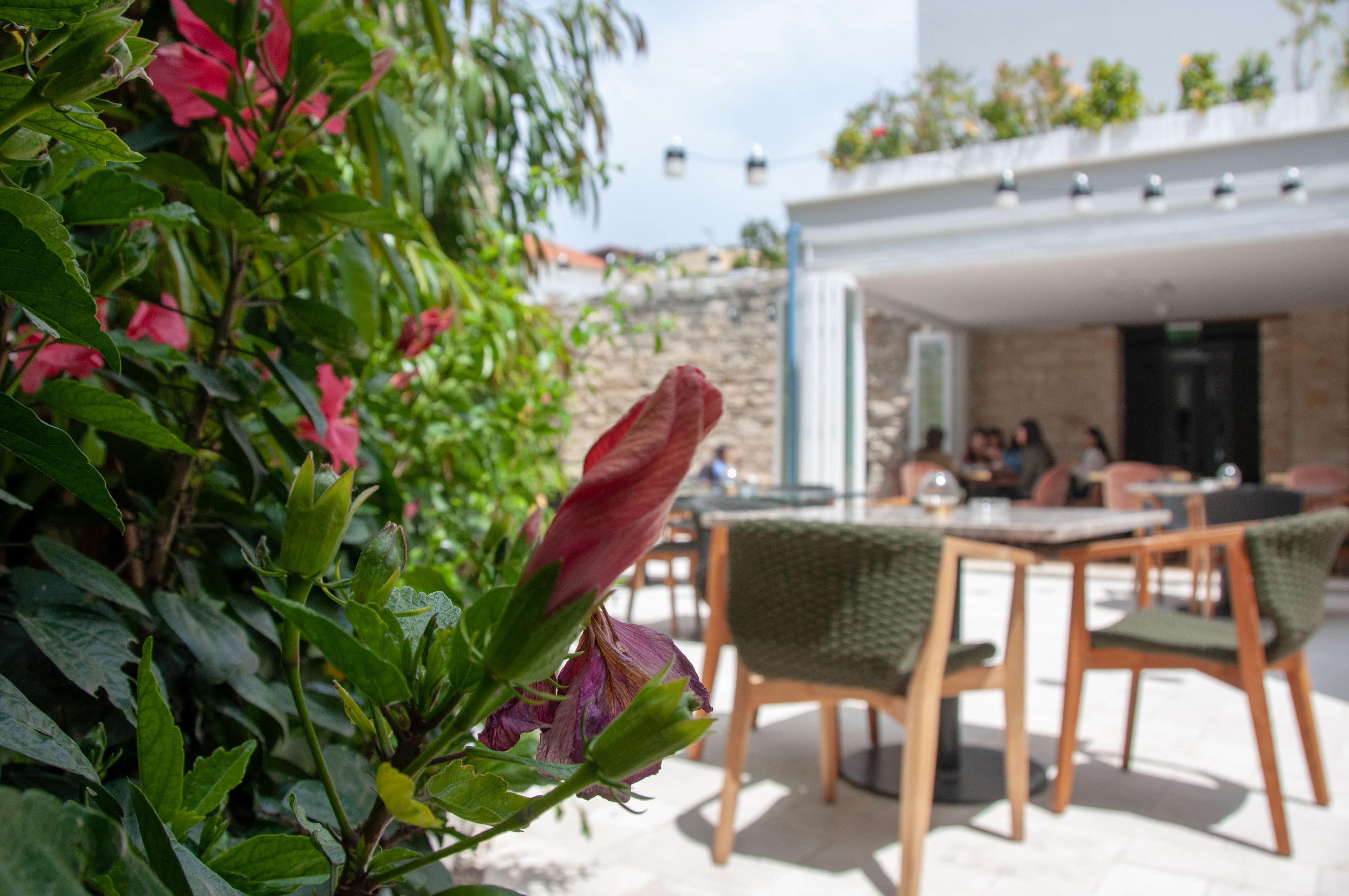 Un patio al aire libre con sillas y mesas de madera, rodeado de abundante follaje y plantas con flores.