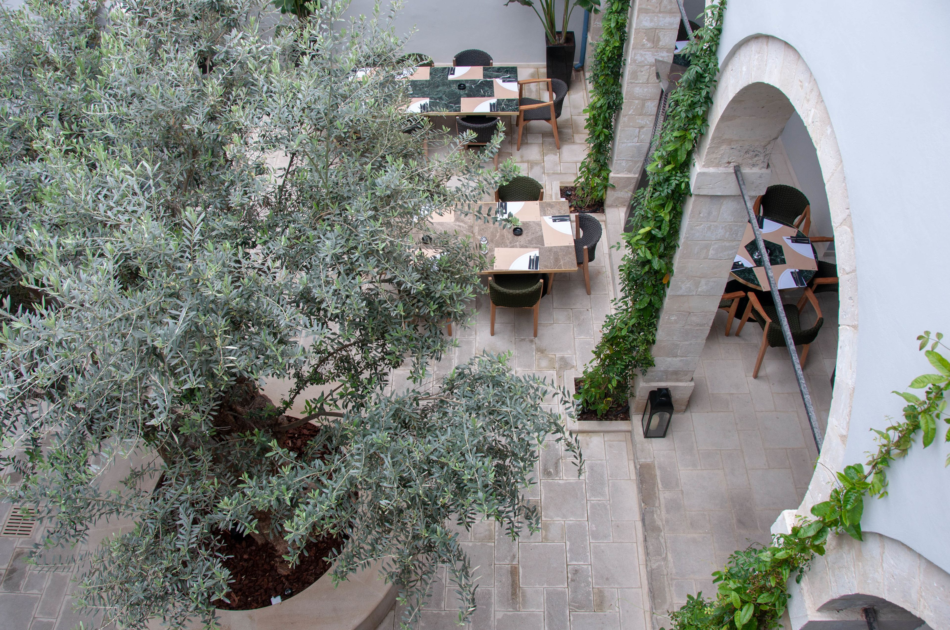 An outdoor patio area with tables and chairs, surrounded by olive trees and a stone wall.