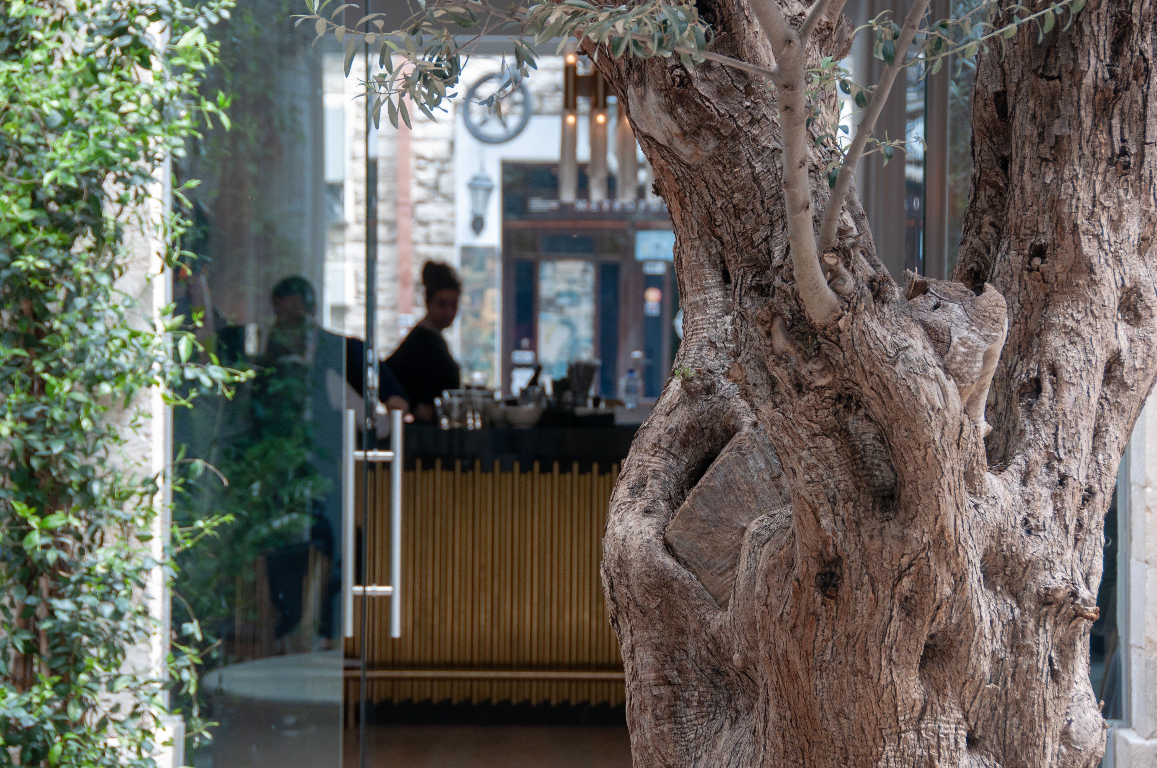 Un tronco de árbol en un espacio interior moderno con una encimera y una persona al fondo.