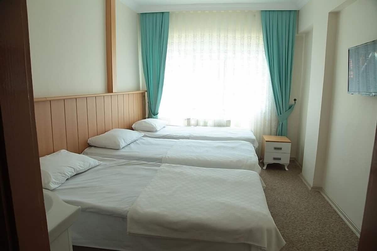 standard triple room | iron/ironing board, free wifi
