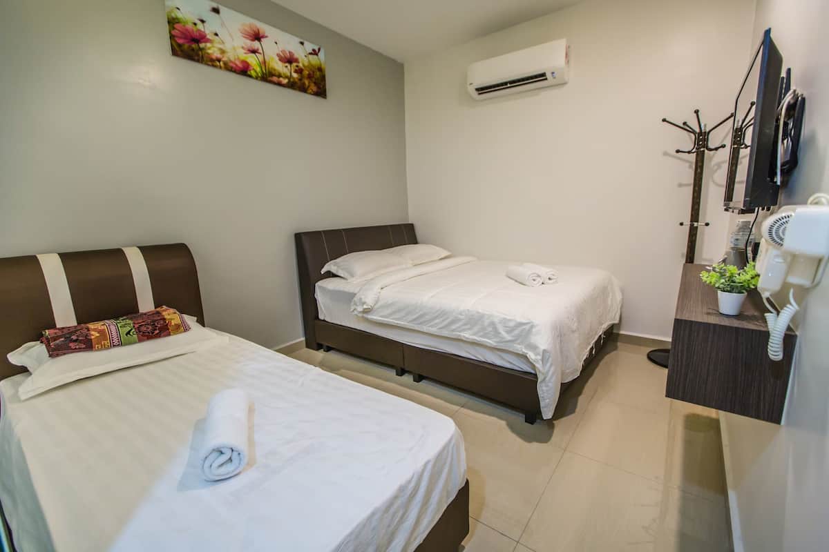 A hotel room with two beds, a painting on the wall, an air conditioner, a TV, a coat rack, and a small plant on the dresser.