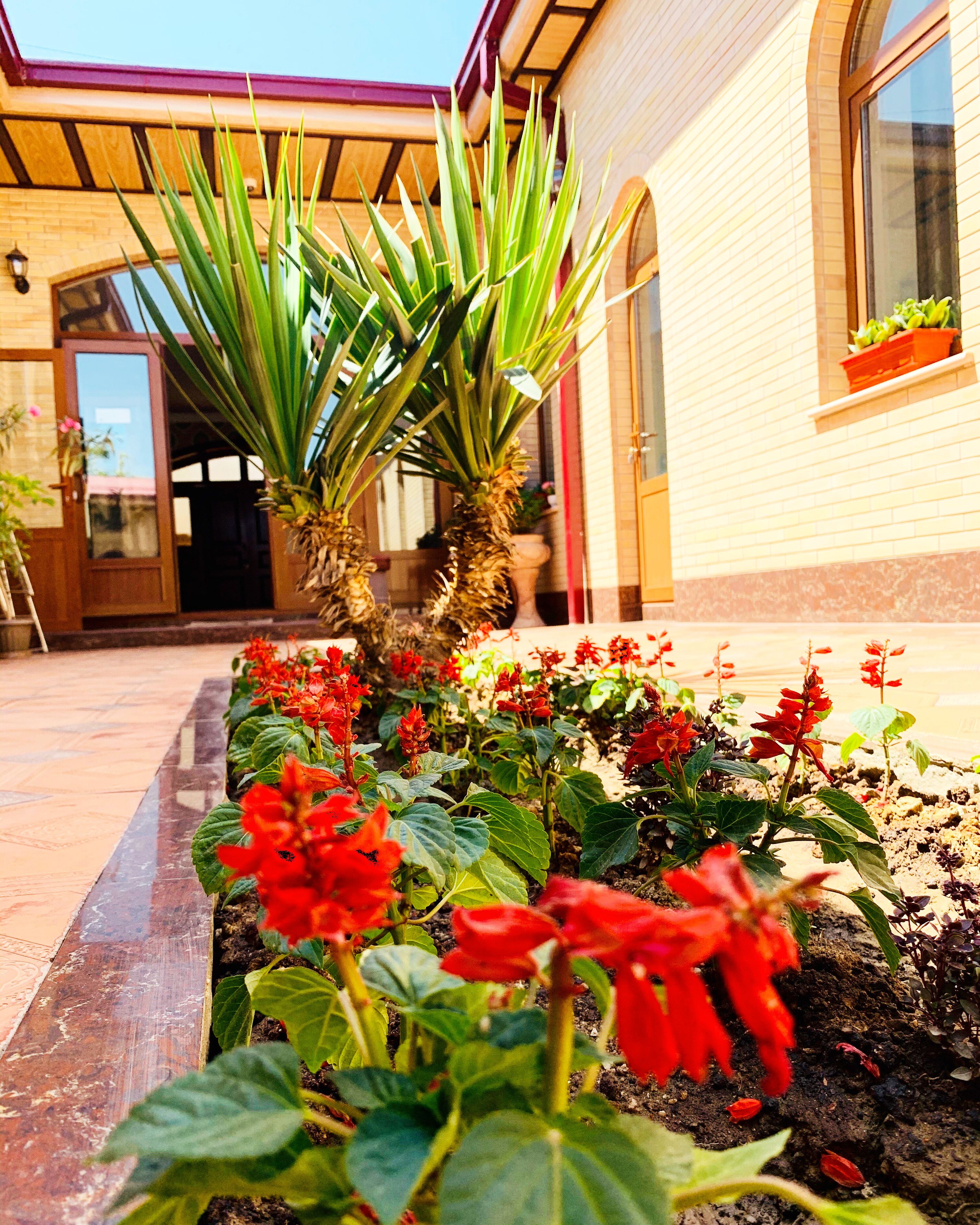 Garden view