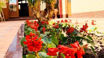 Garden view