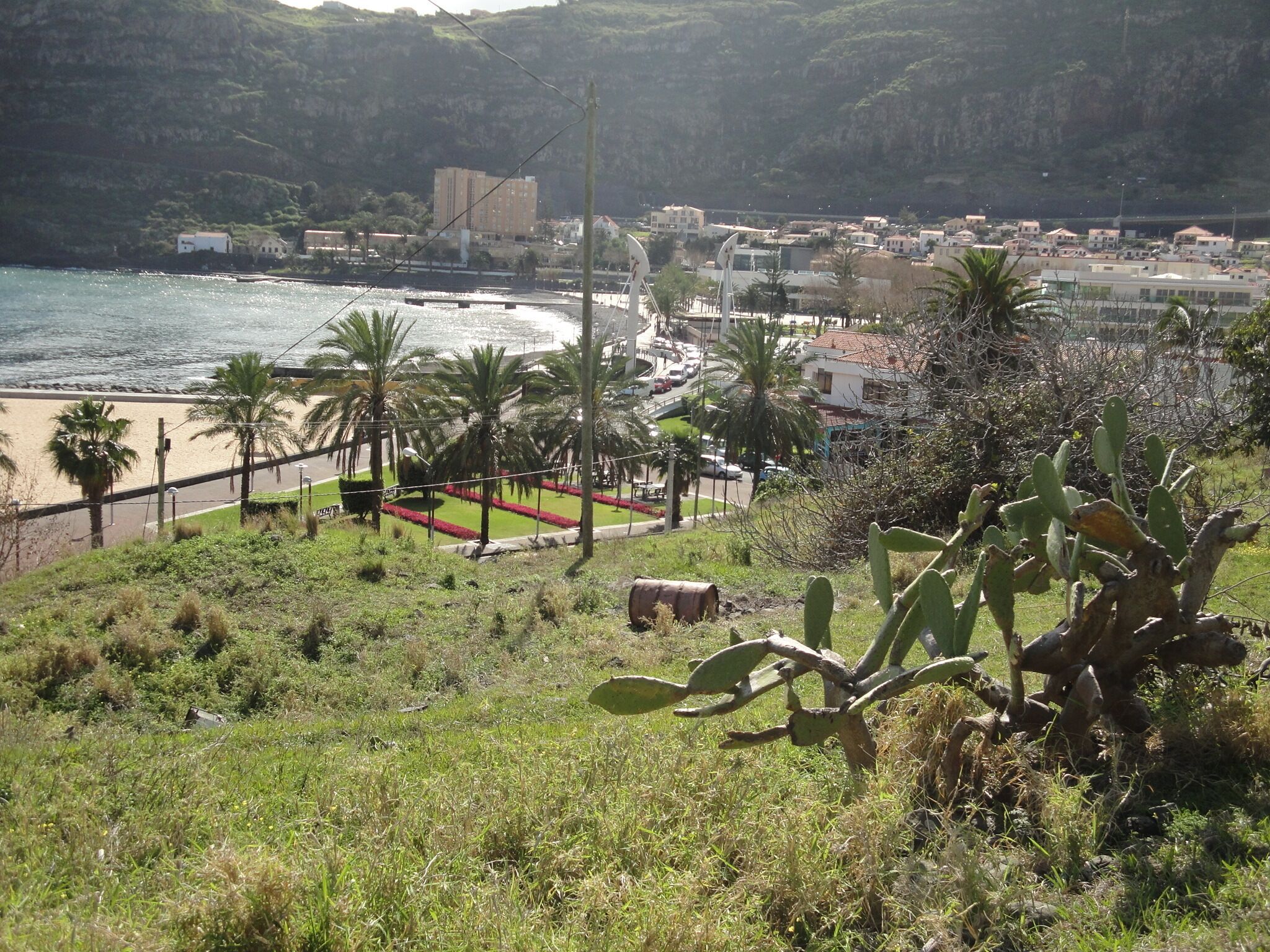 Eine Küstenstadt mit Strand, Palmen und Gebäuden im Hintergrund.