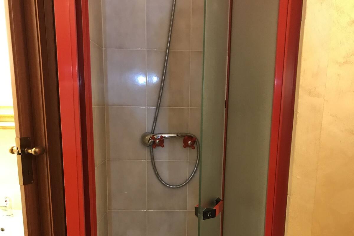A small, enclosed shower area with a glass door, a showerhead, and a handheld shower attachment.