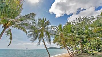 A beach with palm trees and a clear sky.