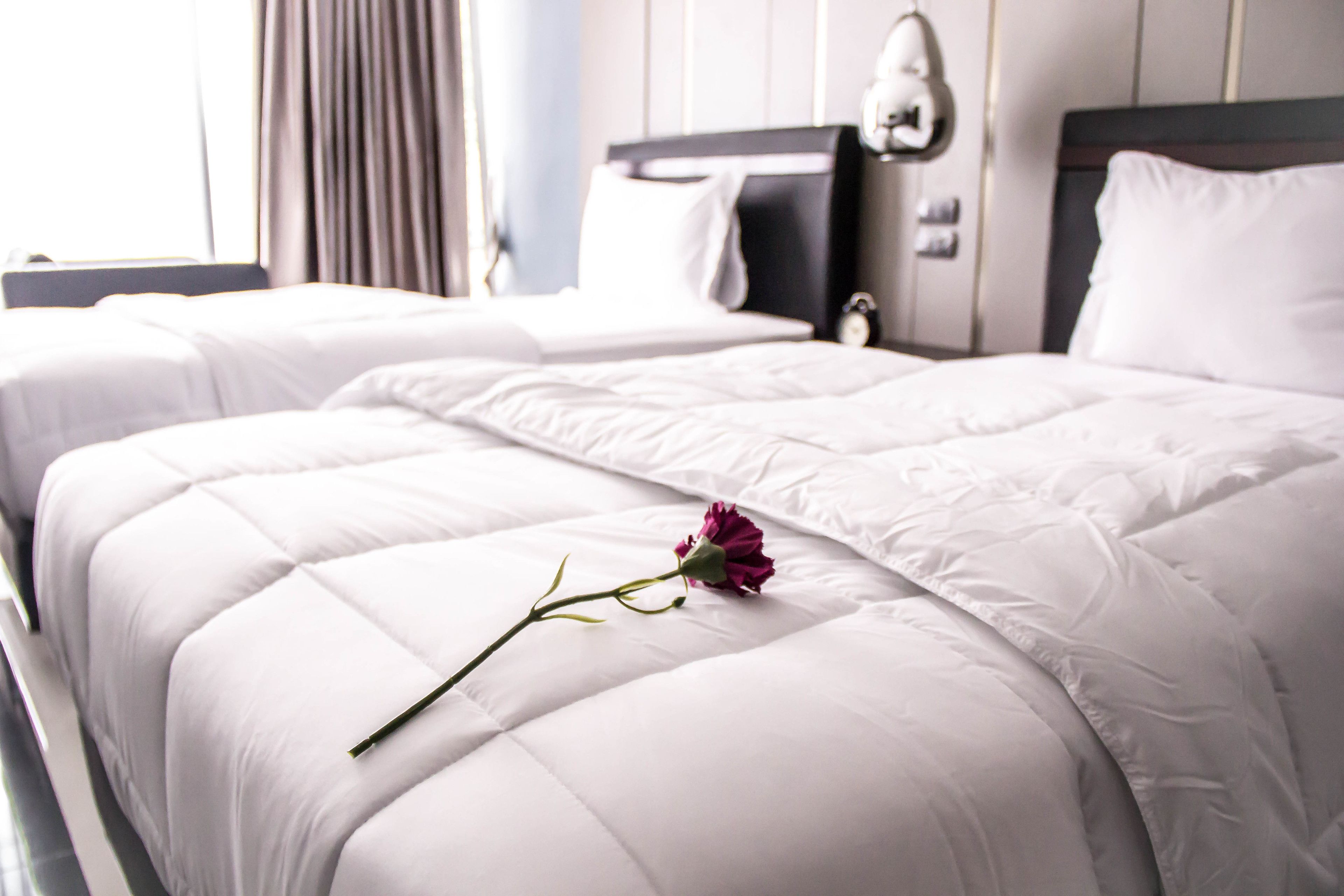 deluxe twin room | minibar, in-room safe, free wifi, bed sheets