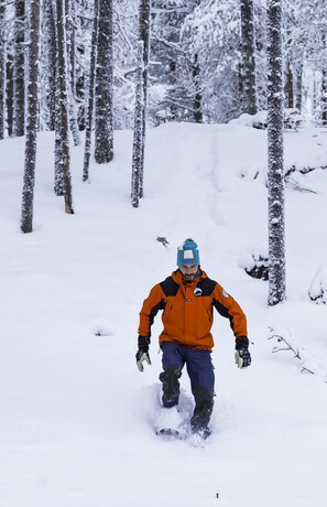 View from room - Kuerkievari KuerHostel (Kolari)