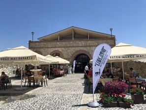 Front of property - Conacul Maria Theresa (Orlat)