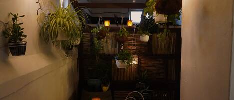Un espacio interior acogedor con plantas colgantes, una pequeña mesa redonda y una silla.