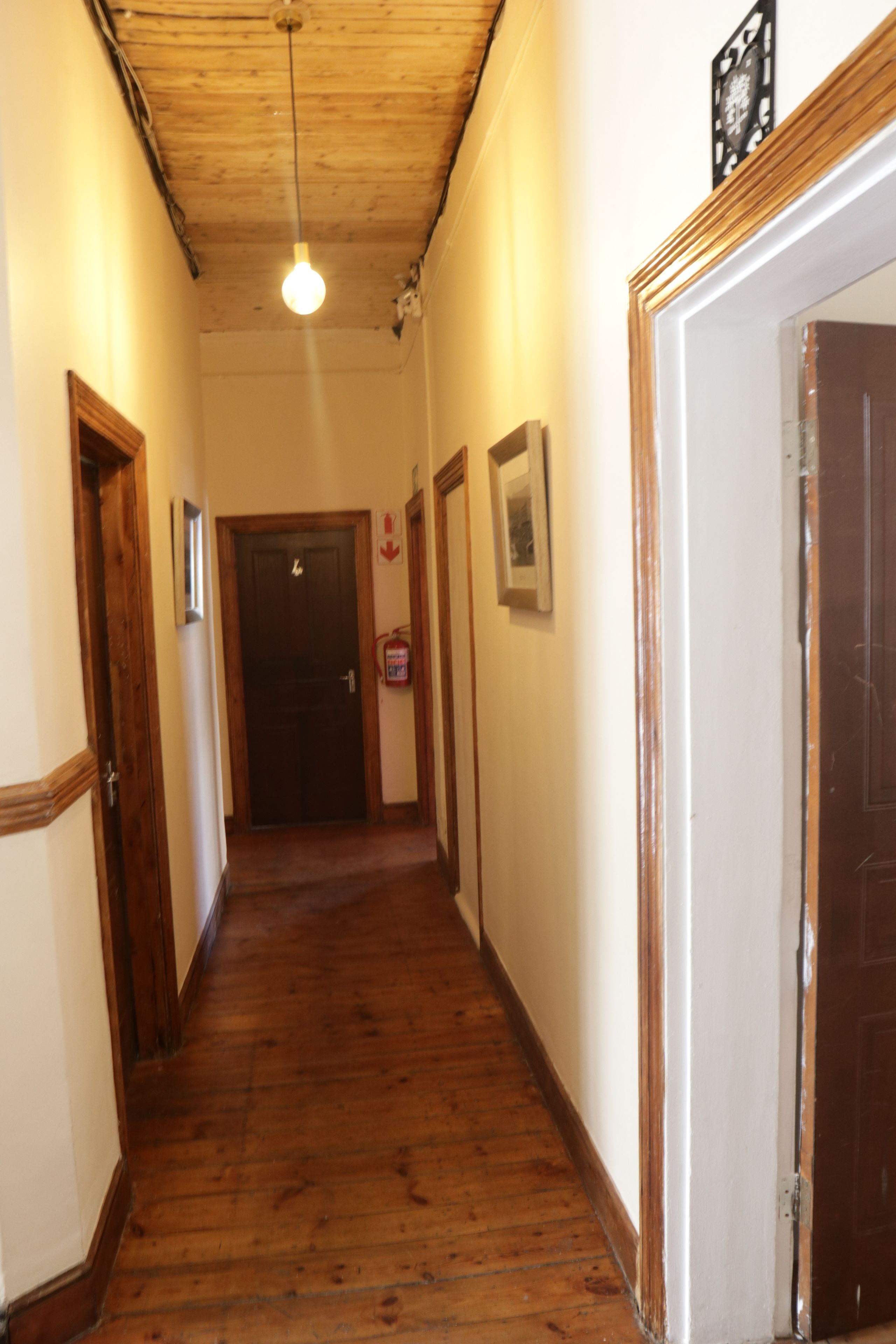 Photo - Urban Hive Backpackers