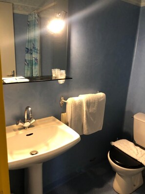 Free toiletries, hair dryer, towels -  Hôtel des Voyageurs (Saint-Paulien)