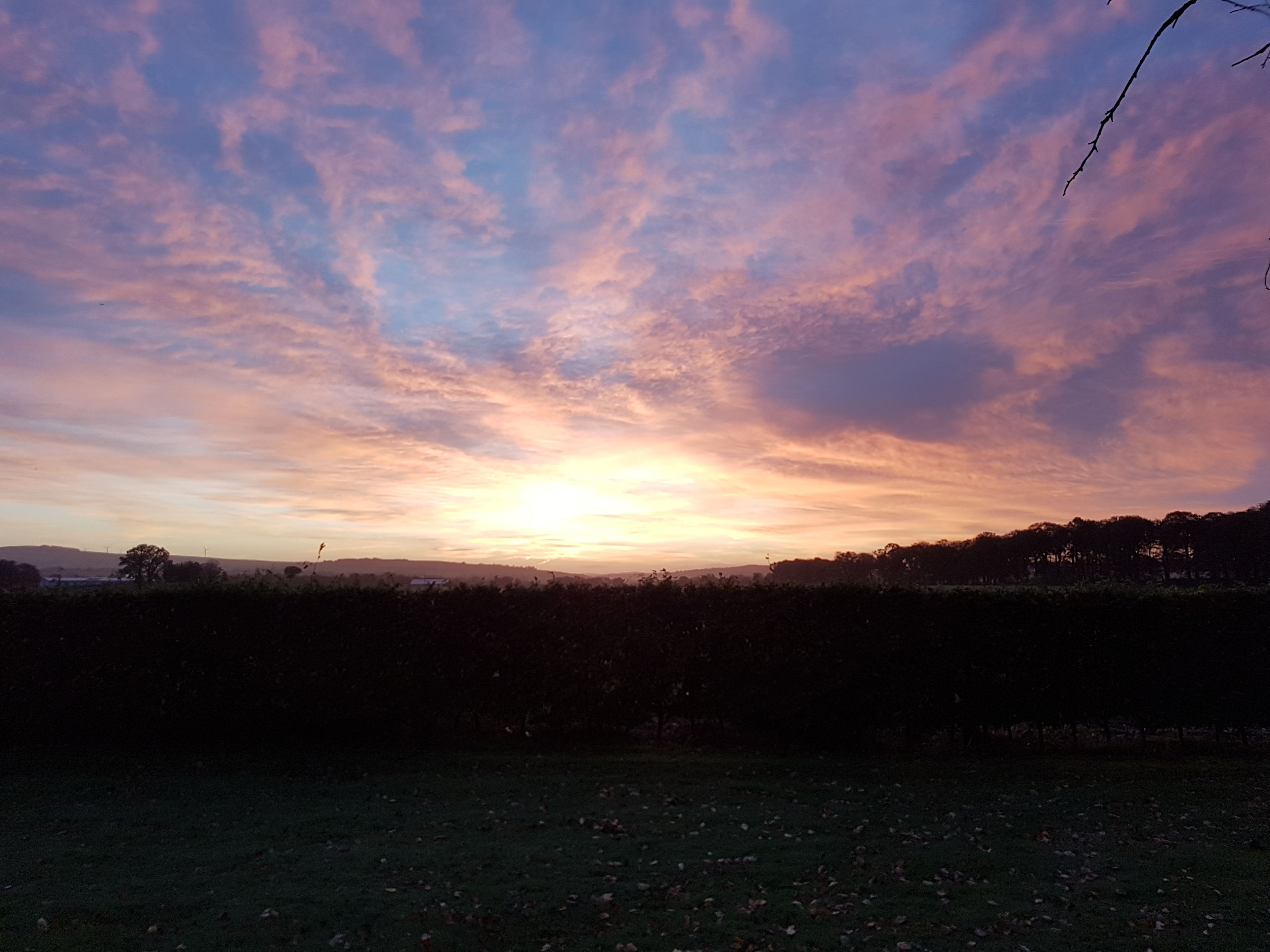 A sunset over a grassy field with a distant tree line.