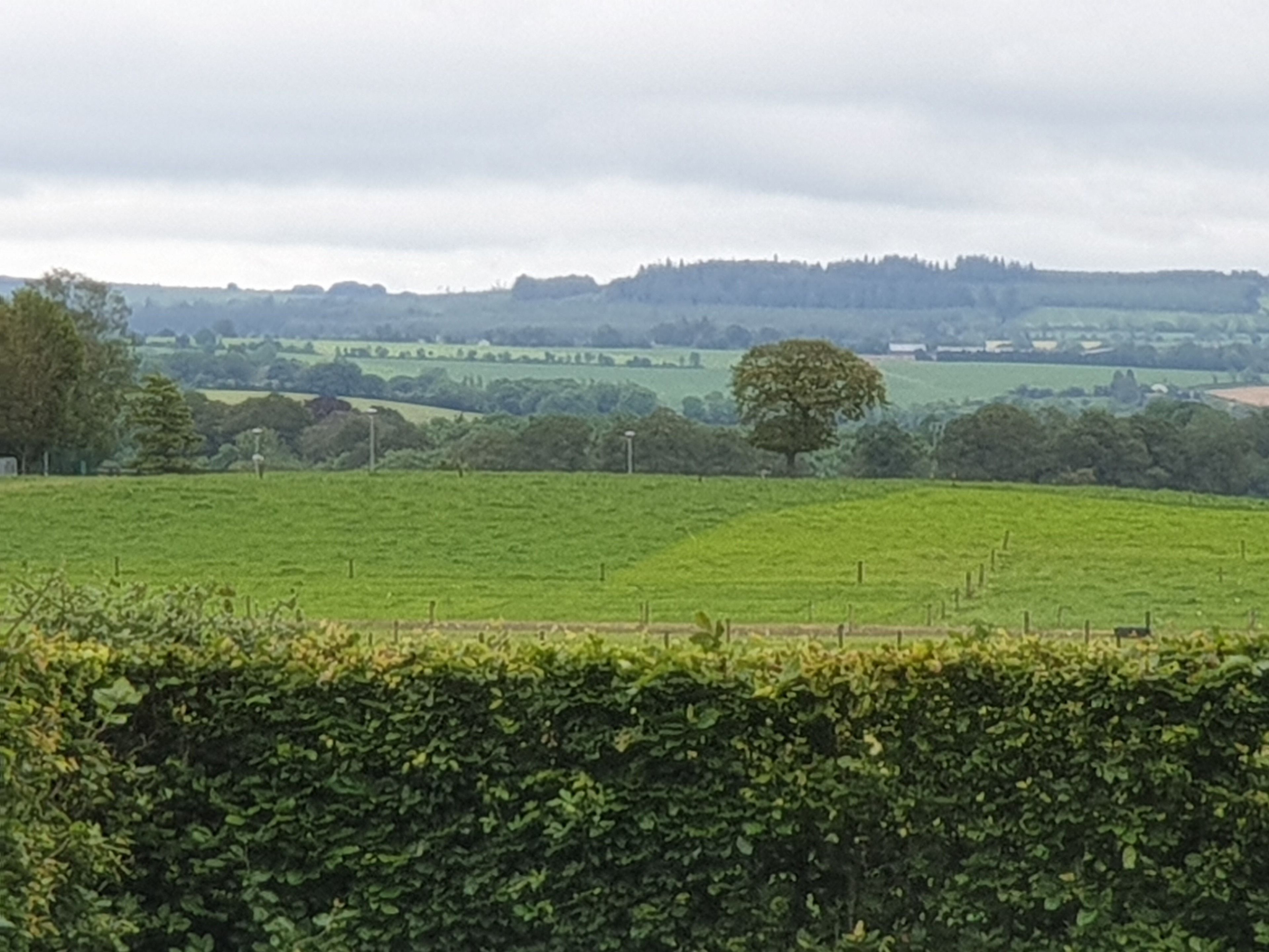 Un paysage rural avec une haie au premier plan et un champ en arrière-plan.