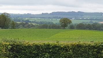 Un paysage rural avec une haie au premier plan et un champ en arrière-plan.