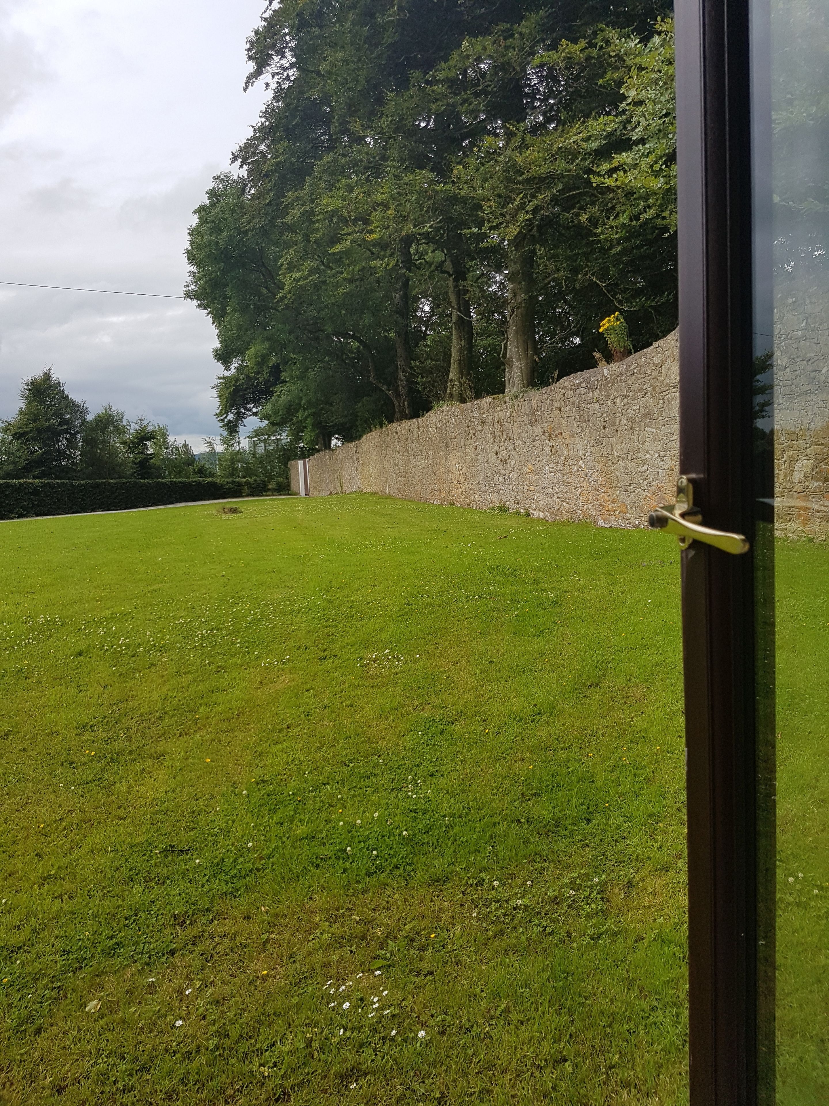 Un champ herbeux avec un mur de pierre et des arbres en arrière-plan.