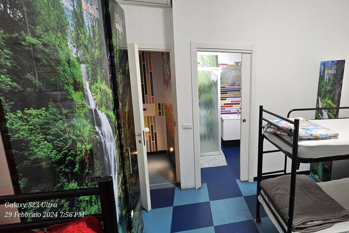 A room with a bunk bed, a small desk, a chair, and a poster of a forest.