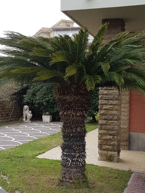 Jardín