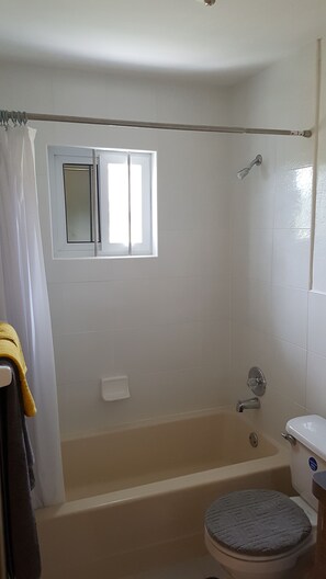 Appartement Économique, 1 chambre | Salle de bain | Ensemble douche/baignoire, articles de toilette gratuits