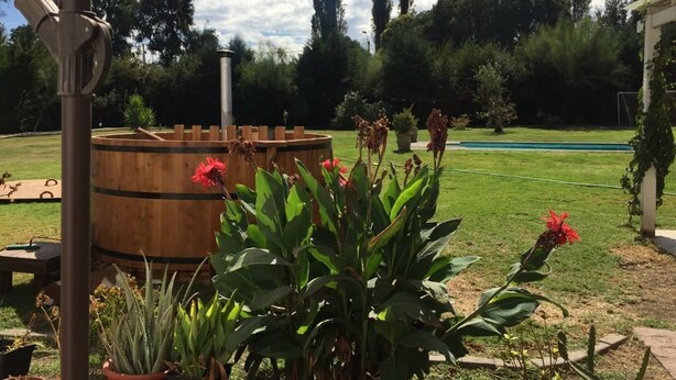 Un jardín con un barril de madera, plantas en macetas y un cielo despejado.