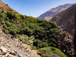 Vistas a la montaña