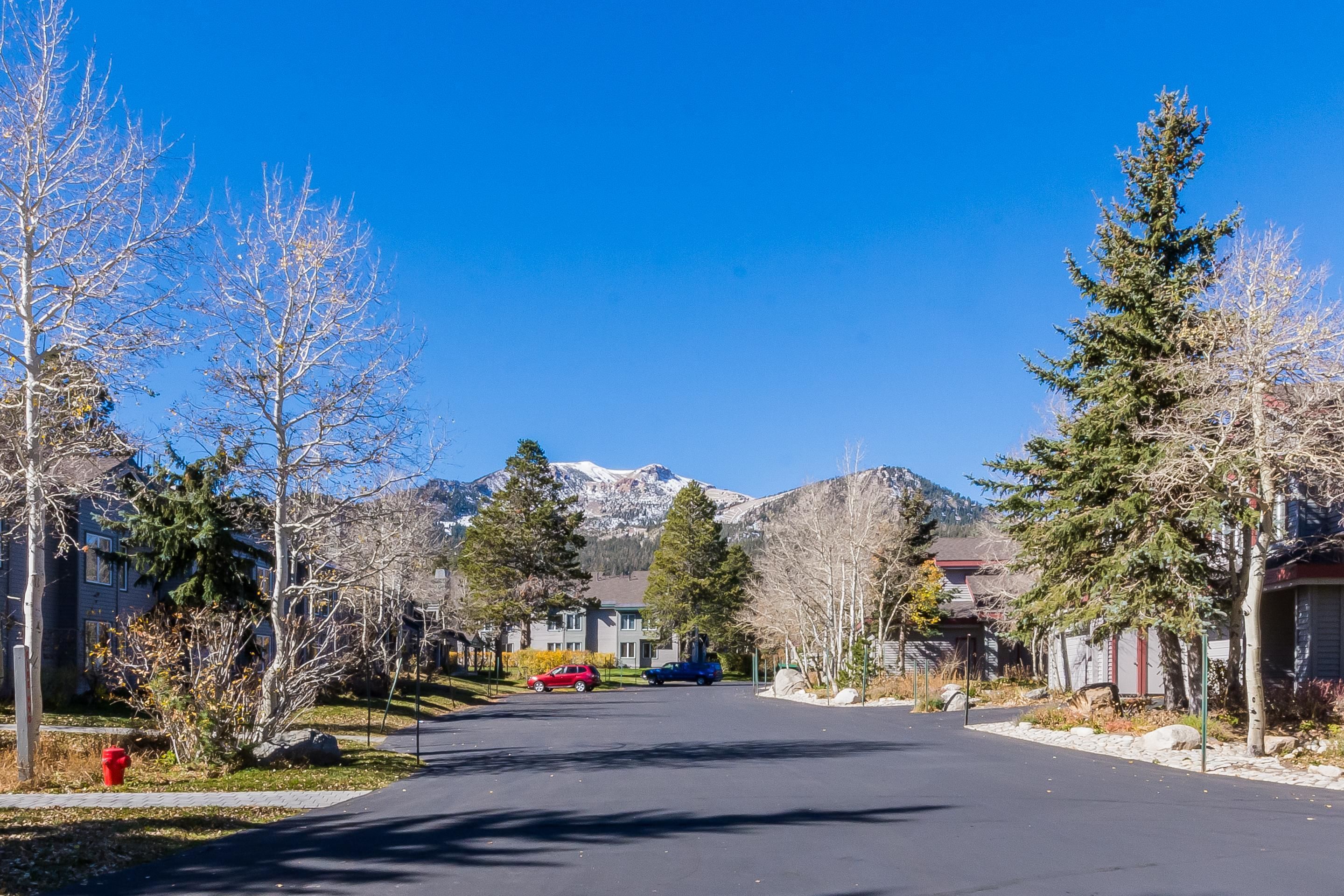 コンドミニアム 2 ベッドルーム (Snowcreek #613 Phase IV) | 施設の敷地