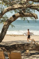 Escena de playa con un árbol, una tabla de surf y una persona caminando.