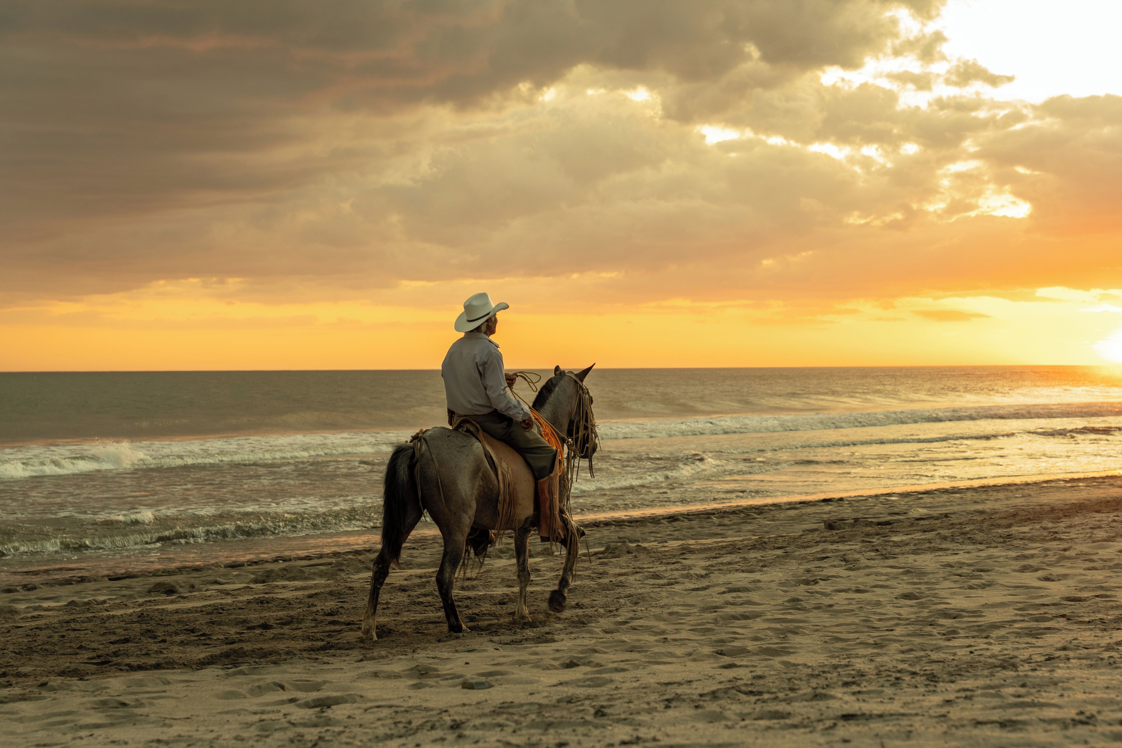 Une personne à cheval sur une plage, avec l’océan en arrière-plan.