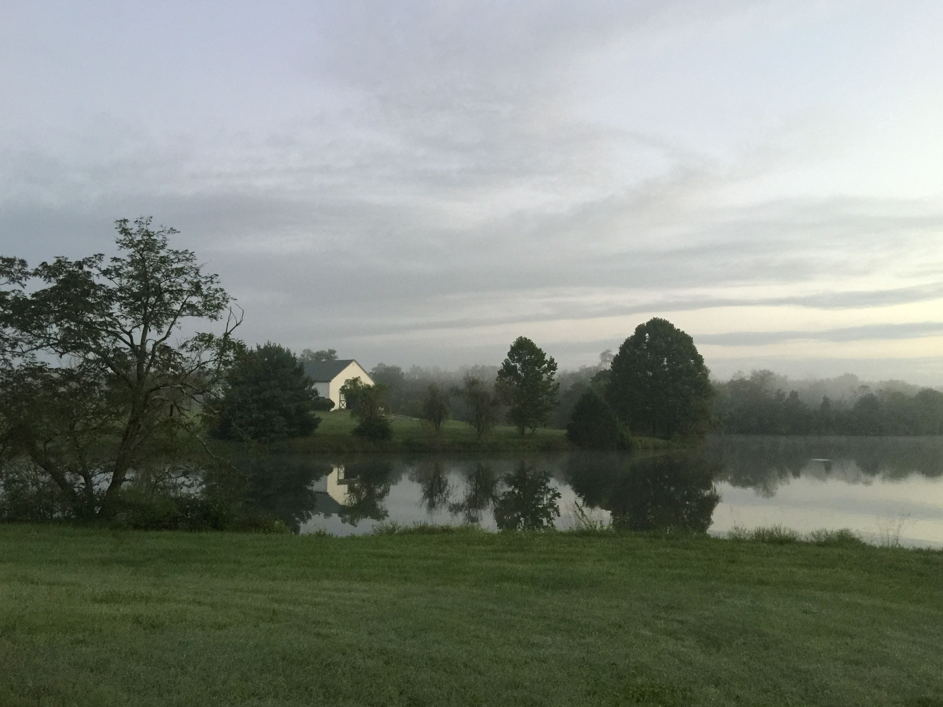A serene lakeside scene with a small building, trees, and a grassy foreground.