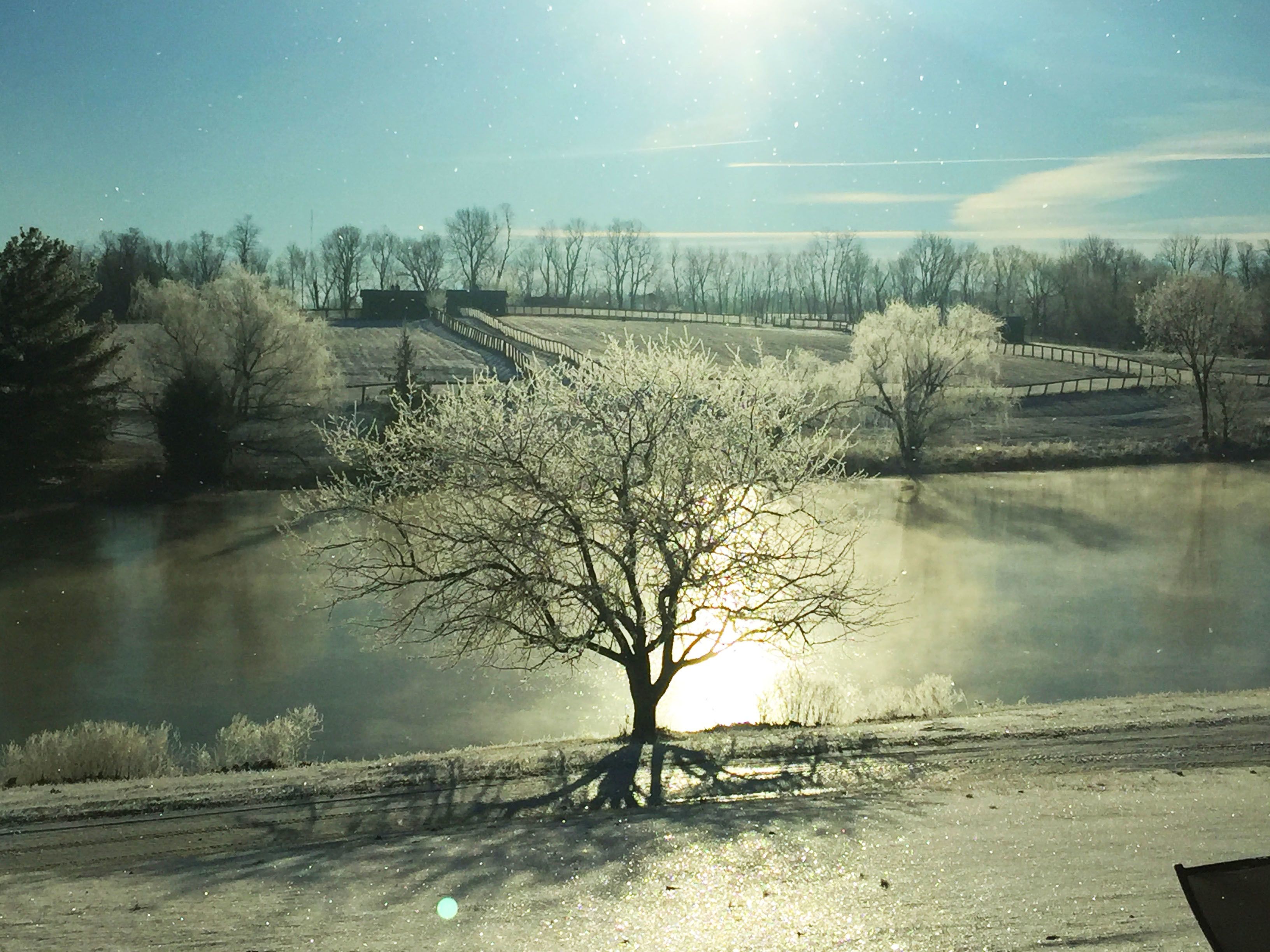 Ein Baum in einer verschneiten Landschaft mit einem Gewässer und einer entfernten Struktur.