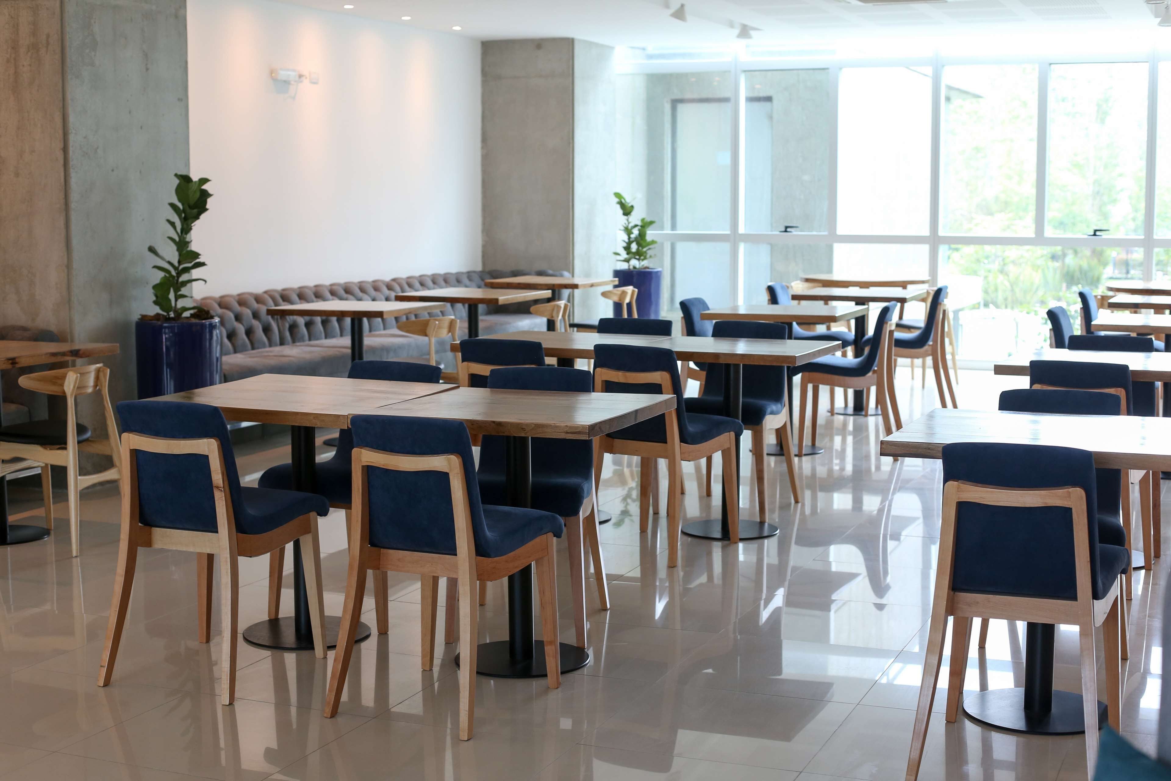 A modern dining area with wooden tables and blue upholstered chairs, a grey cushioned bench, and large windows offering a view of greenery.