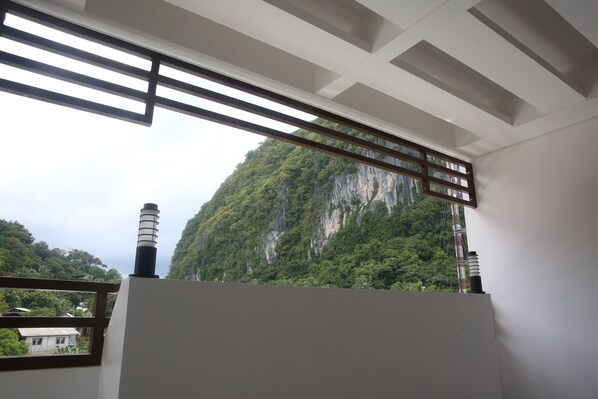 Deluxe Room | Balcony