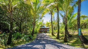 Una casa con veranda e cartello in un ambiente tropicale.