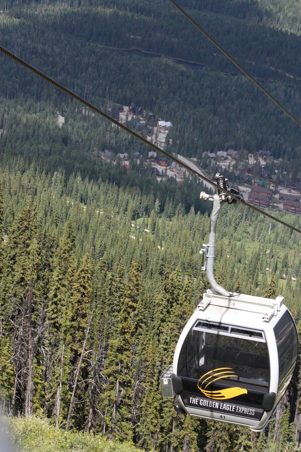 A cable car with 'The Golden Eagle Express' branding, suspended by cables, offering a view of a forested mountain area with buildings in the distance.