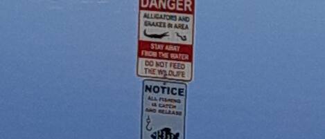 A bird perched on a sign warning of alligators and snakes in the area.