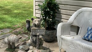 Un jardín con una escultura de oso de piedra, un letrero de bienvenida, una planta en maceta y una silla de mimbre.