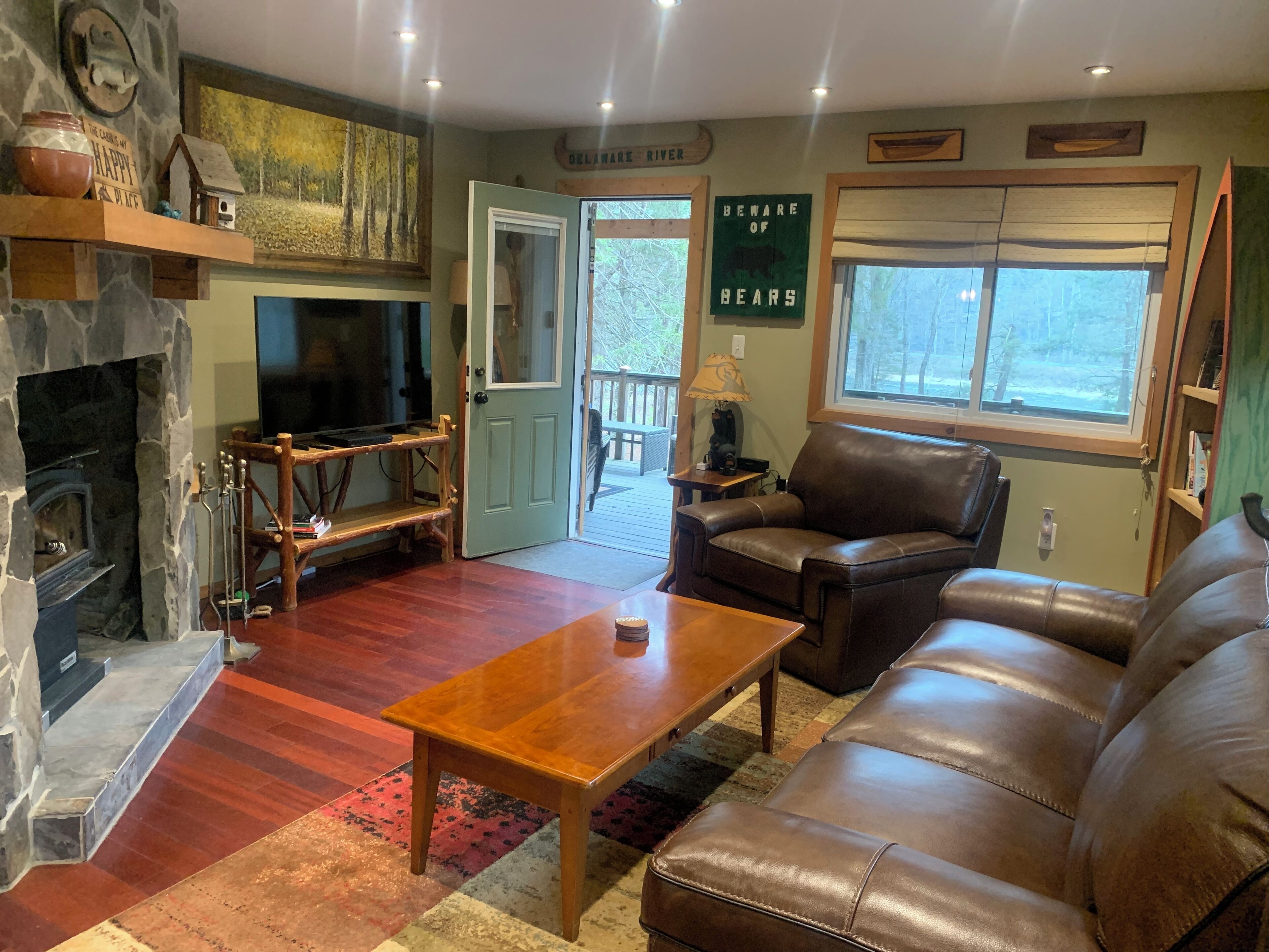 TV connectée, cheminée, lecteur de DVD, livres