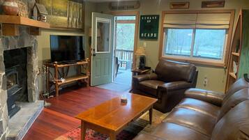 TV connectée, cheminée, lecteur de DVD, livres