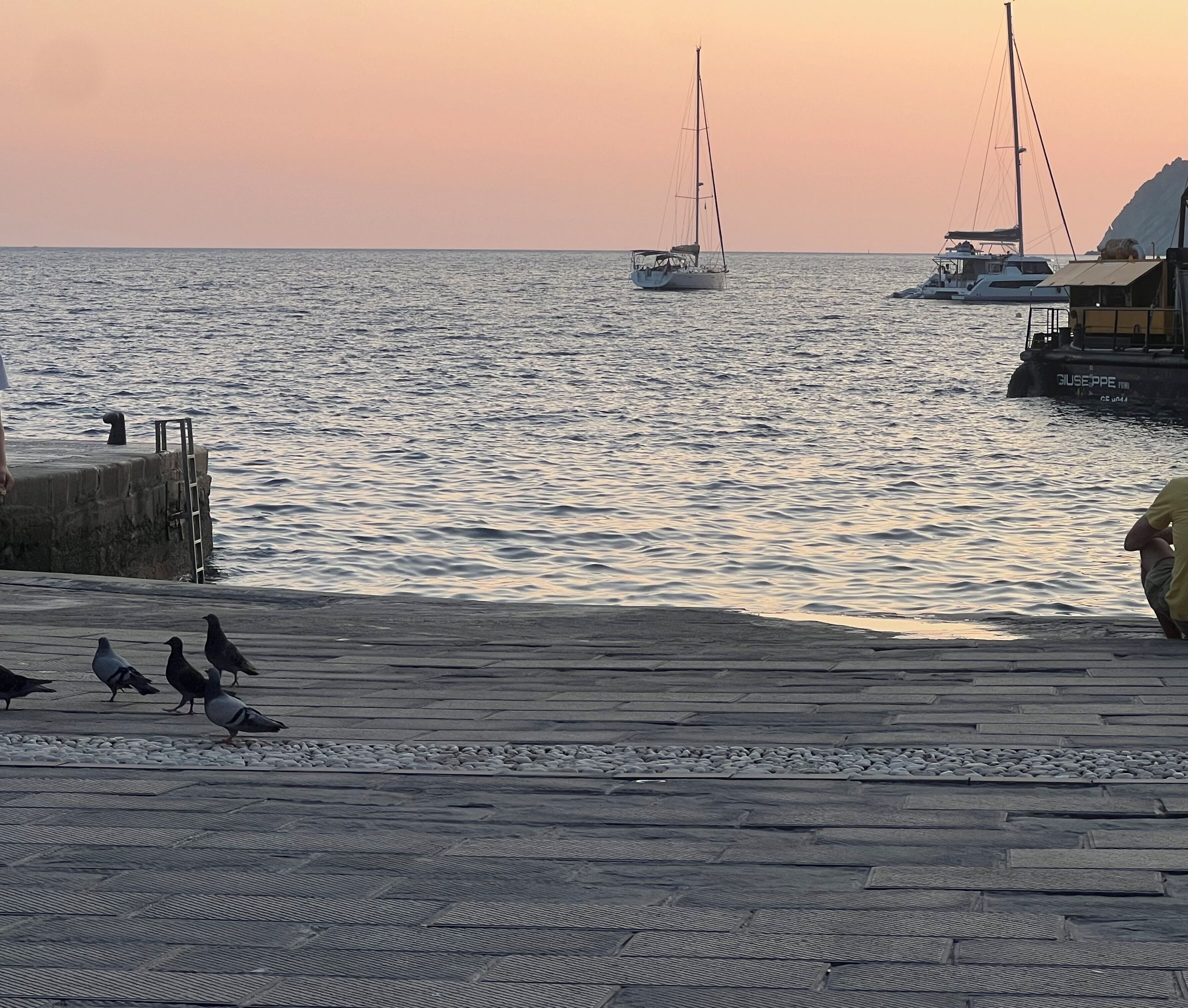 A waterfront scene with a dock, birds, and sailboats.