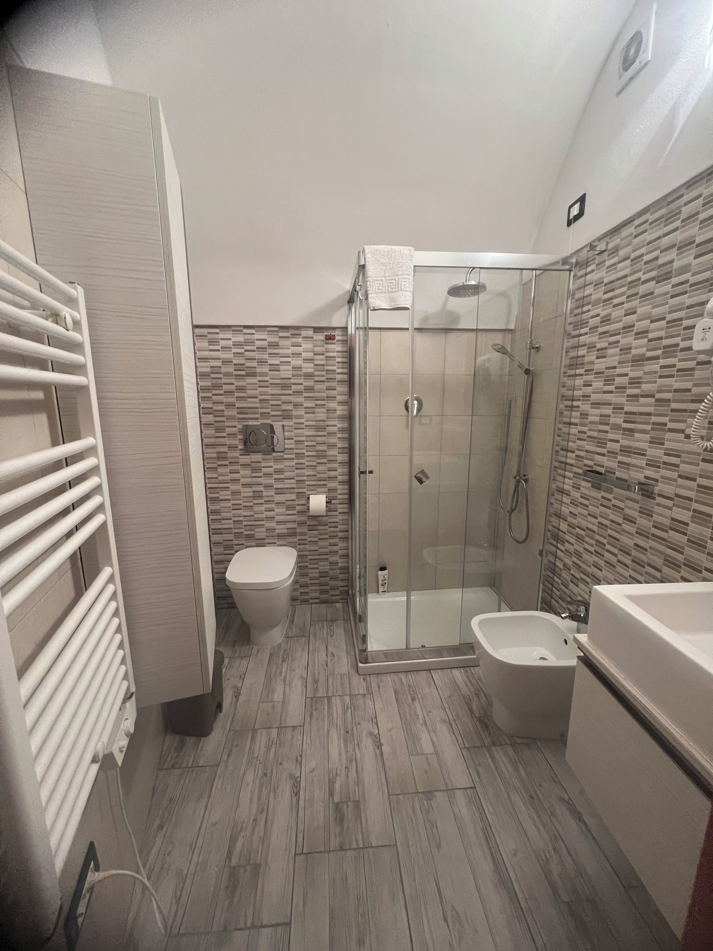 Shower, hair dryer, bidet, towels