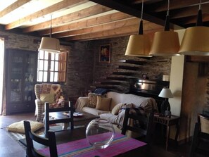 TV, fireplace, books